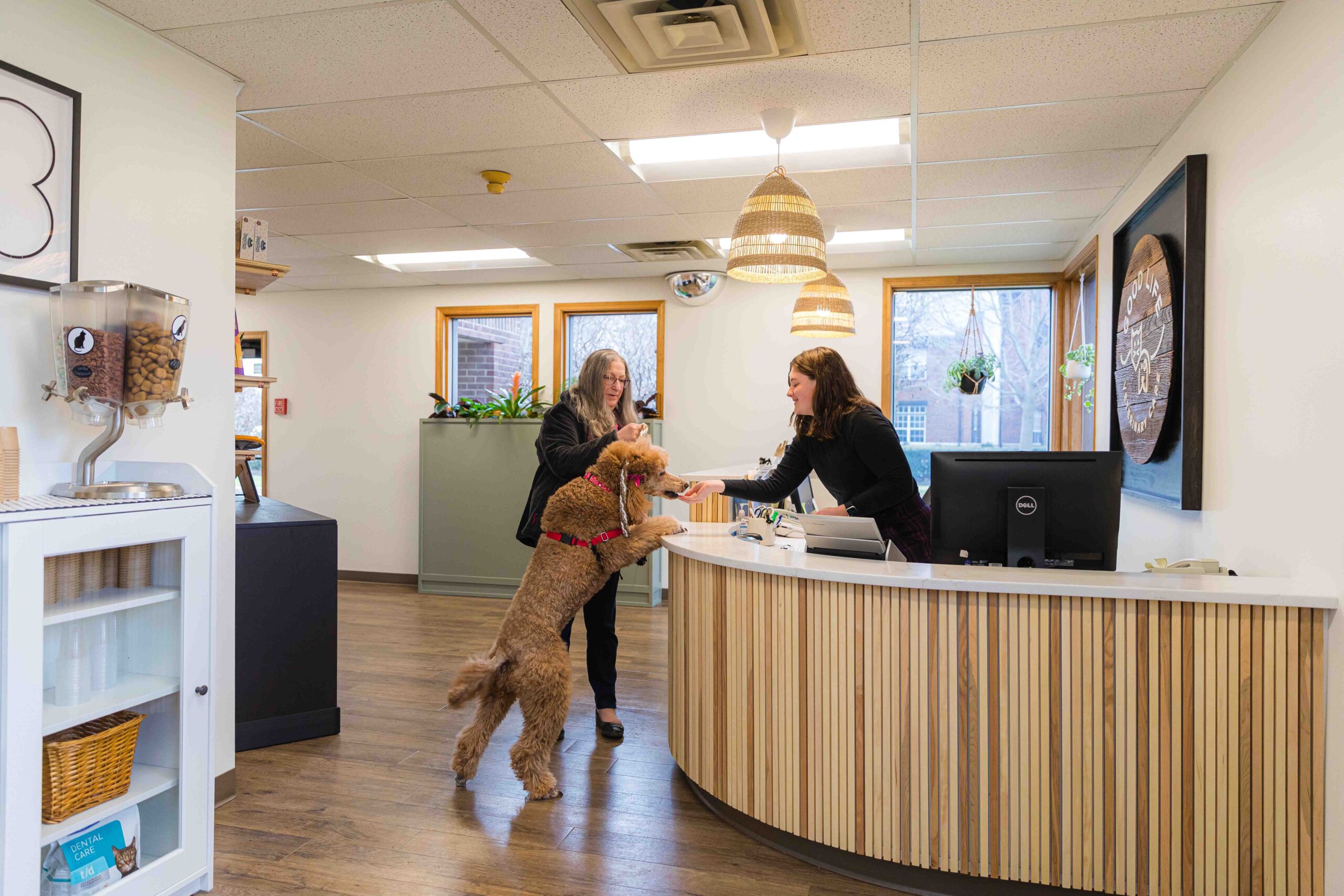 A well-lit veterinary clinic reception with wooden accents