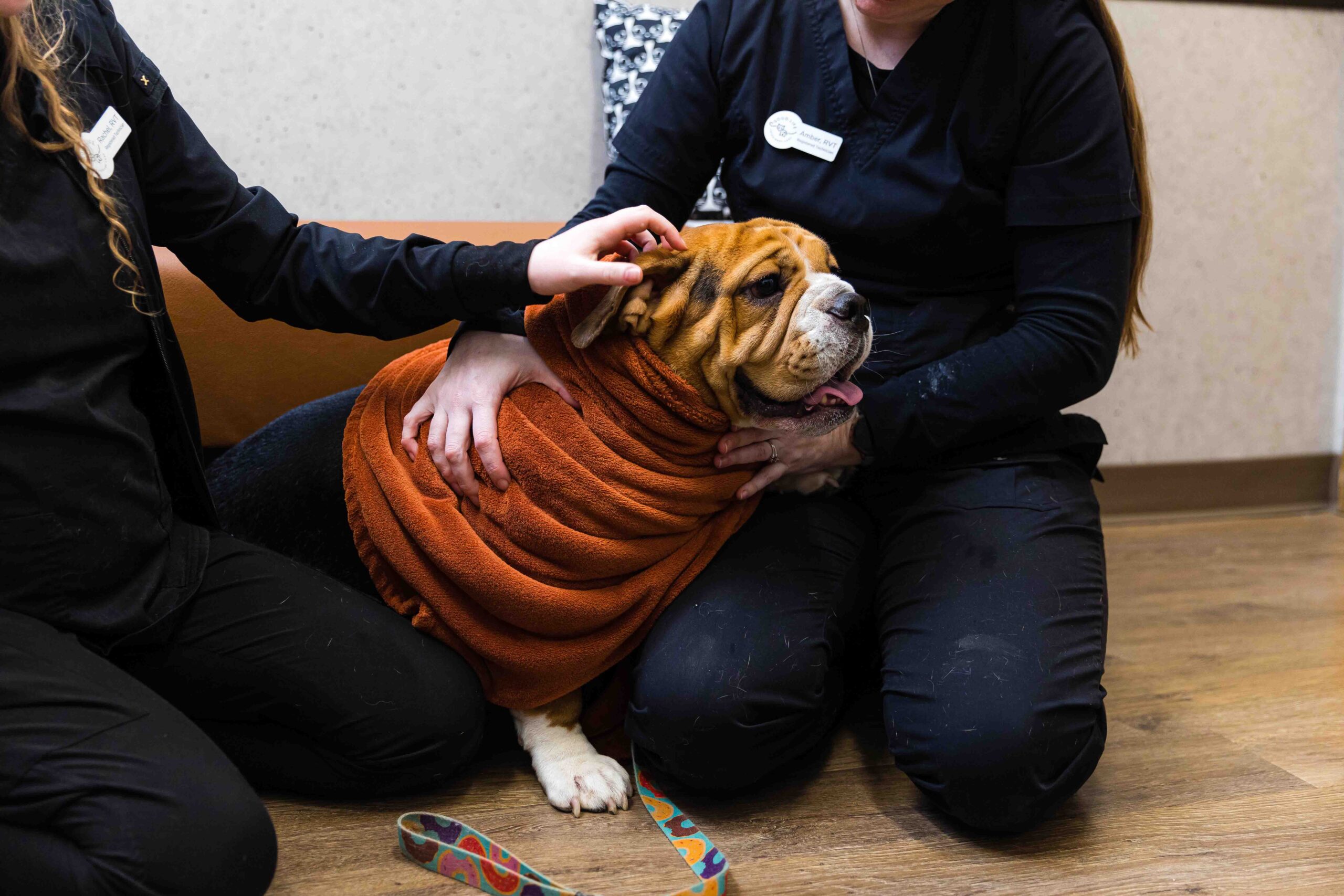  two individuals sitting on the floor with a dog wrapped in a burnt orange towel