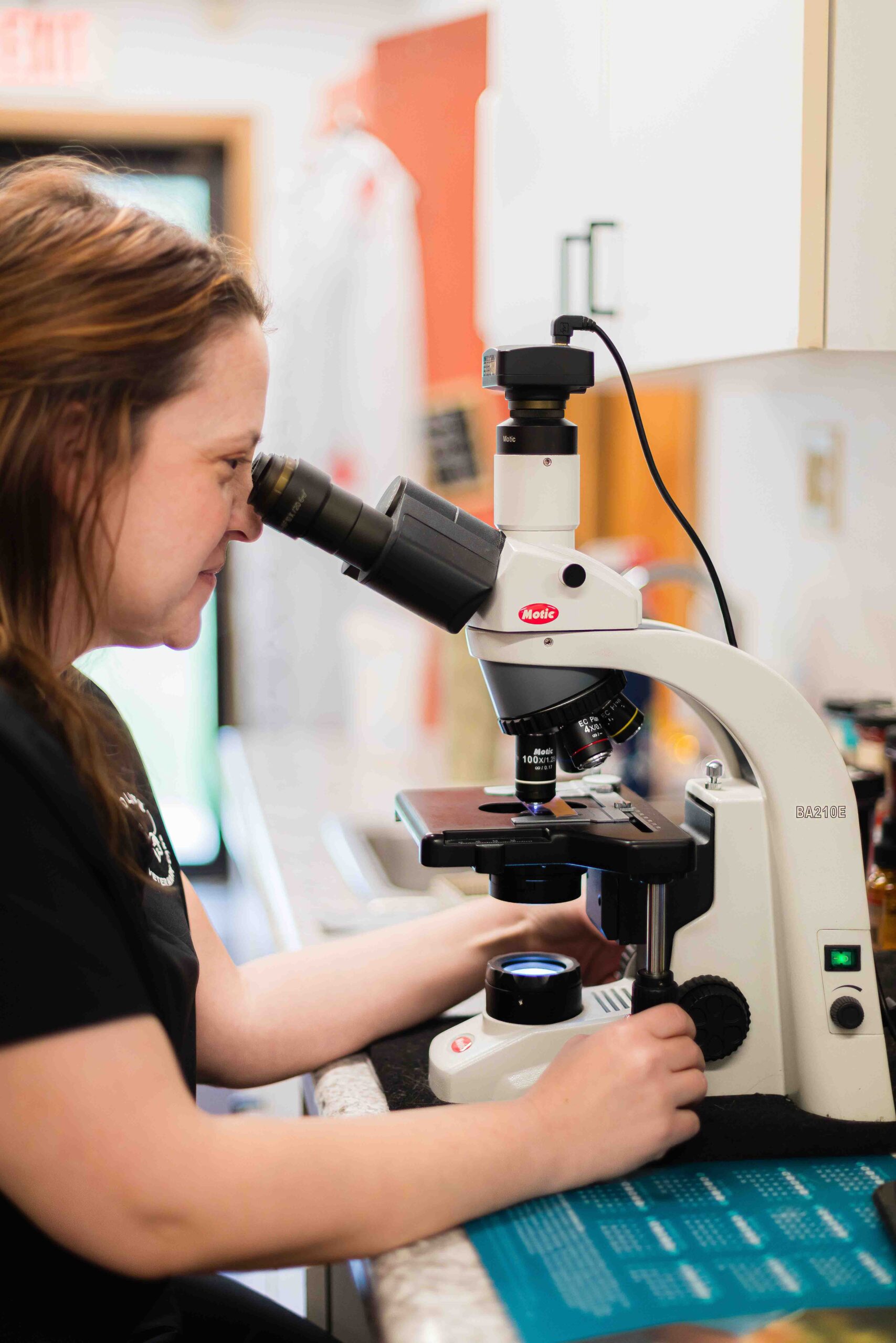 a vet using a Motic microscope in a laboratory