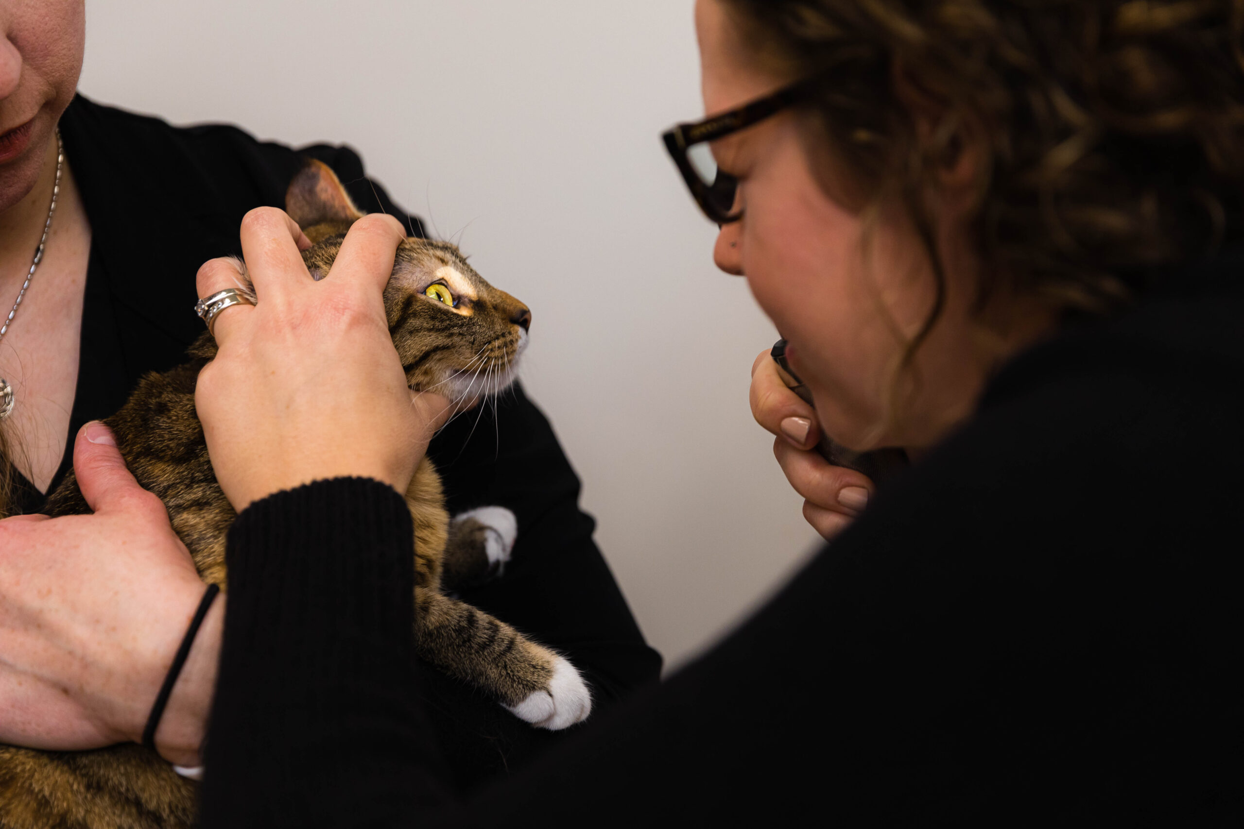 A woman gently cradling a cat in her arms, both looking content and at ease.