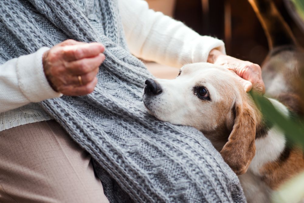 An elderly dog and woman sitting outside