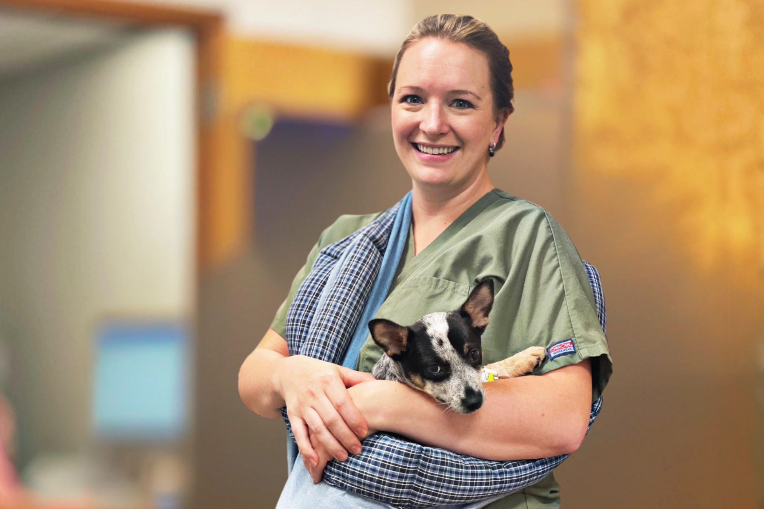 A woman in scrubs gently holds a small dog